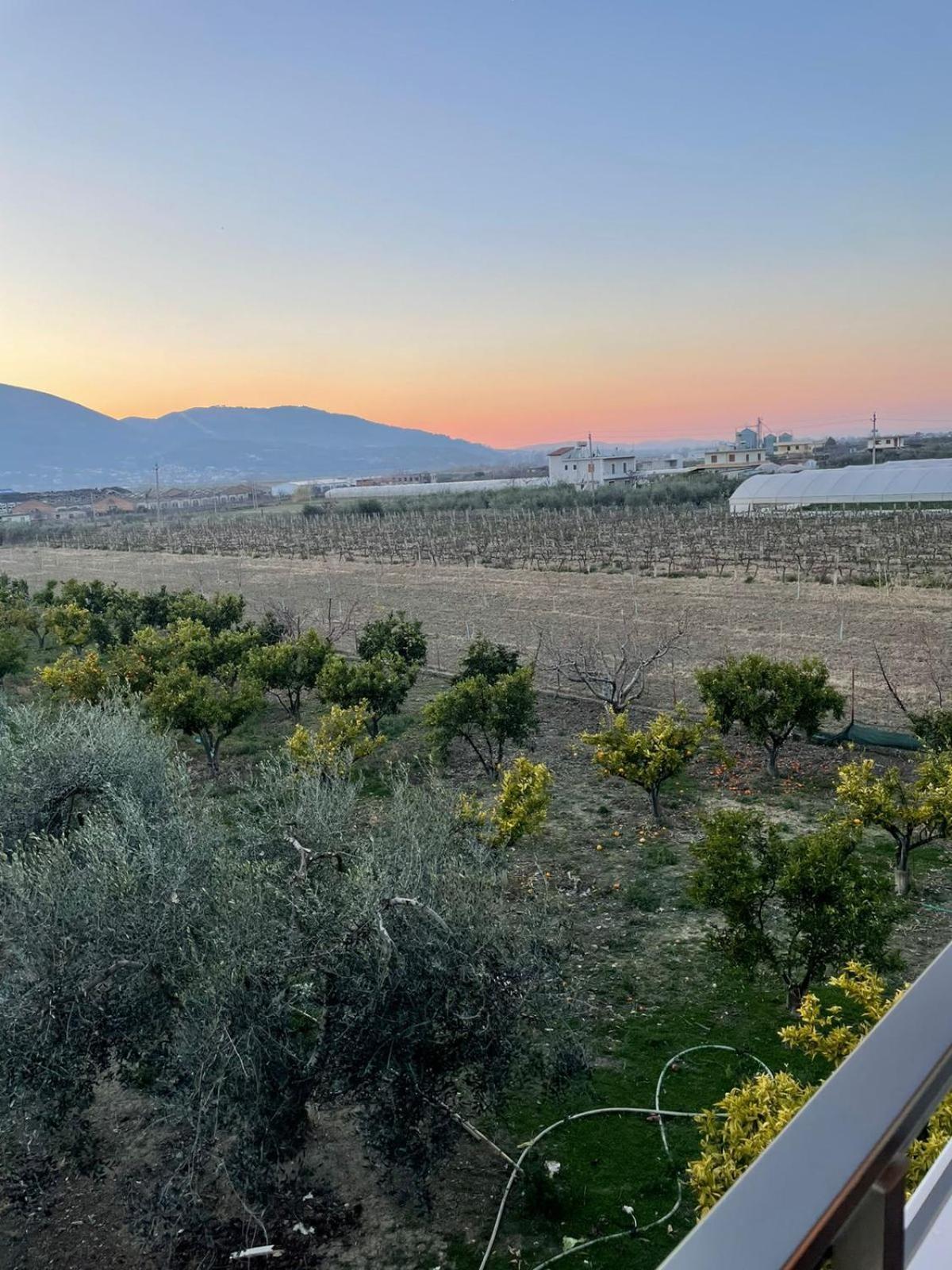 Harmony Villa Berat Exterior foto